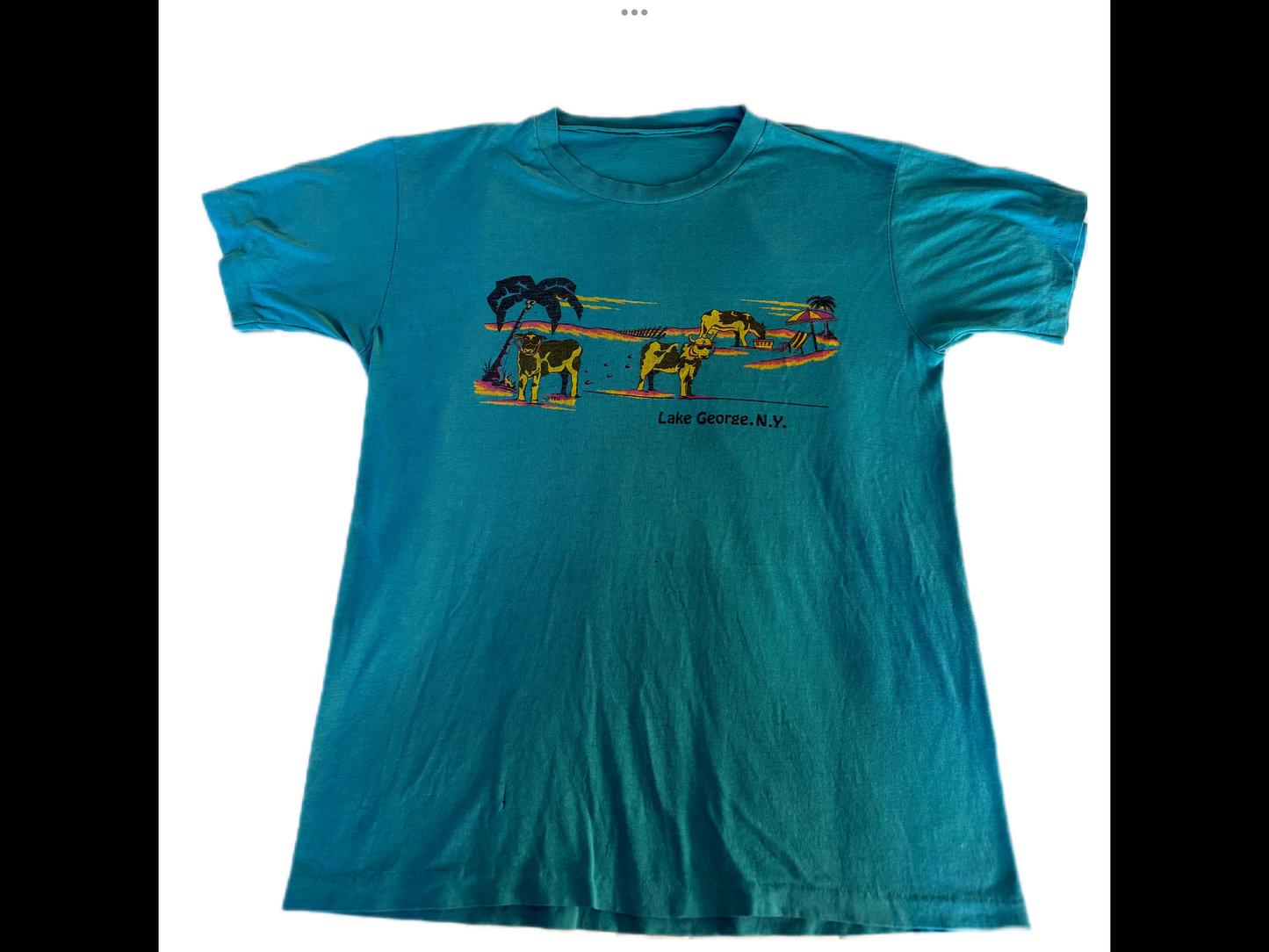 Beach Cows of Lake George NY vintage tee