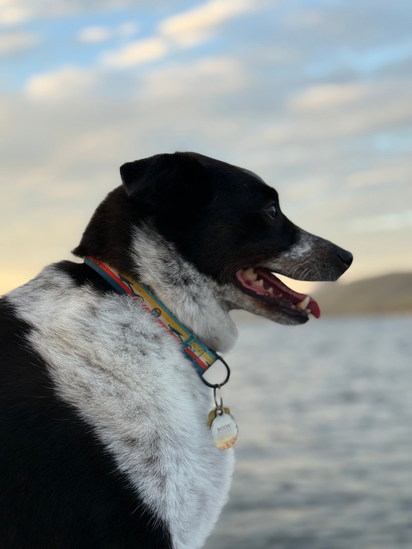 The Wanderer Collar