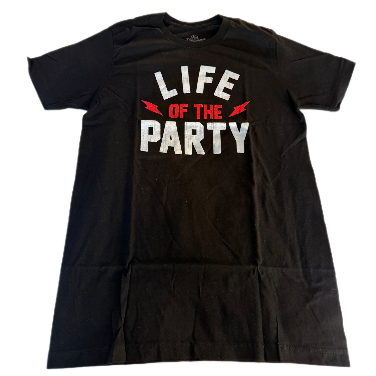 Life of the Party Vintage Tee