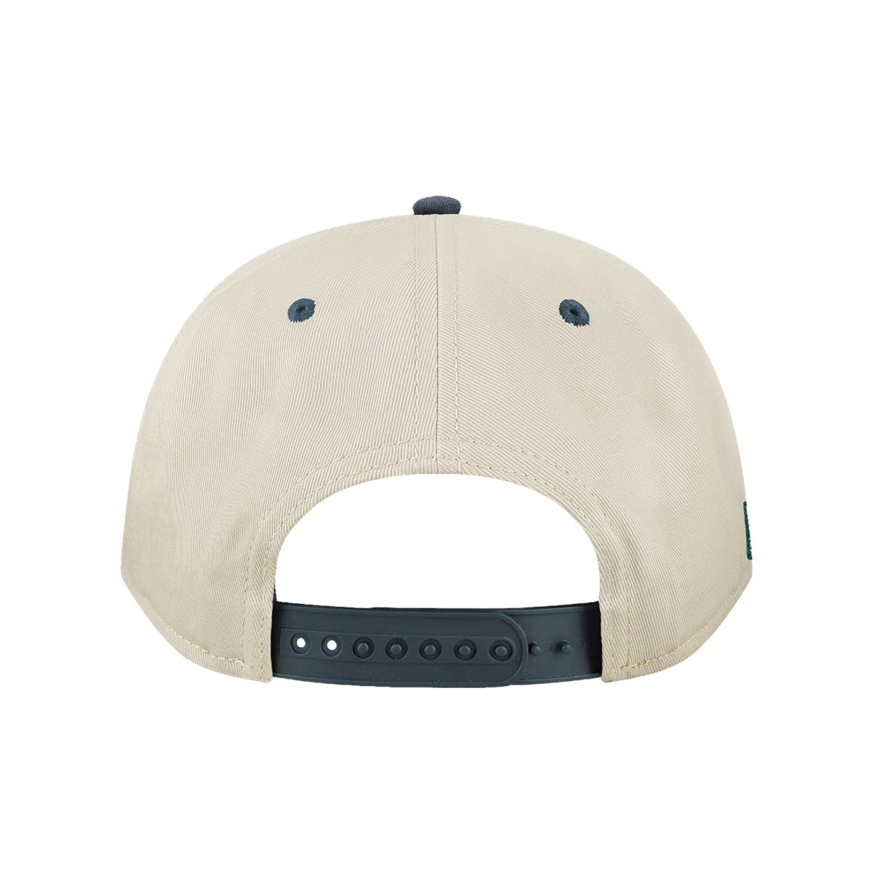 The Lake Days Snapback