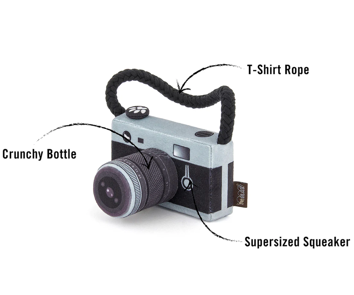 Camera Dog Toy