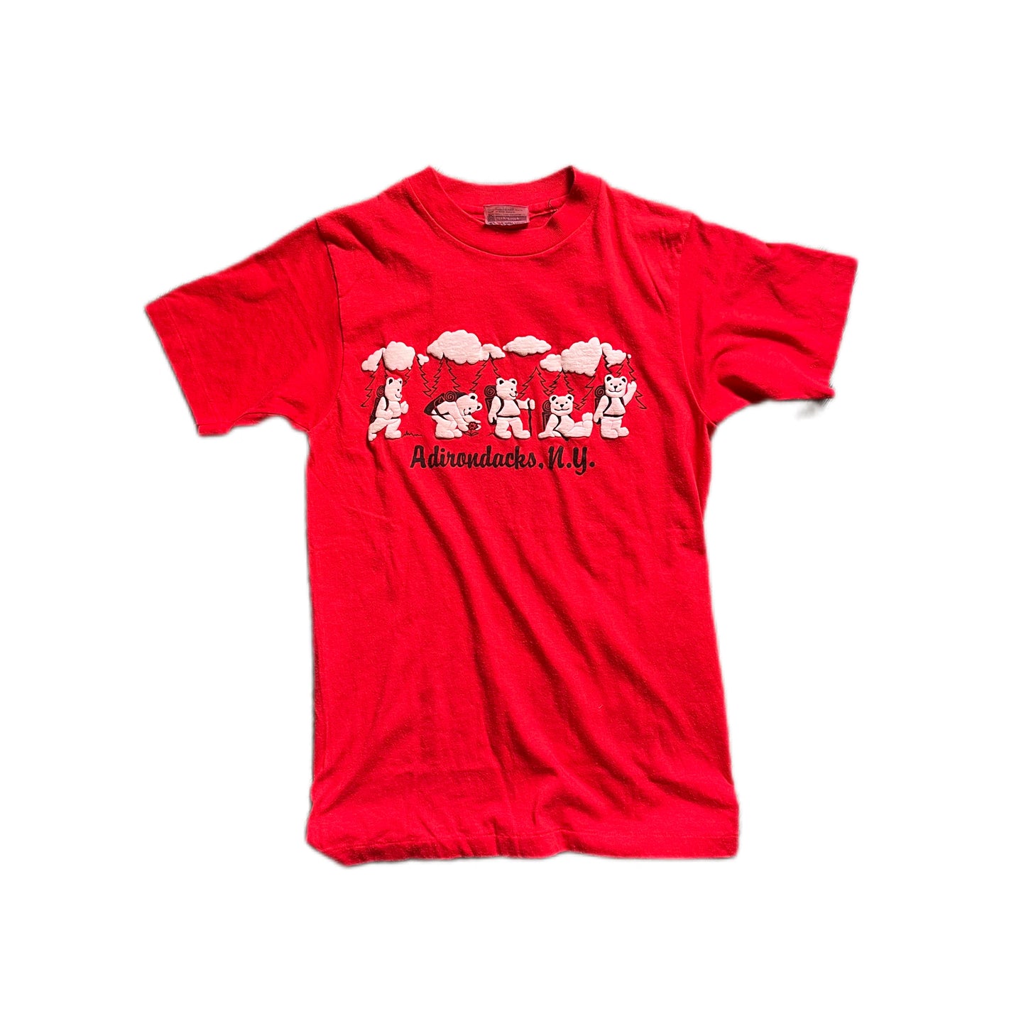 Adirondacks, N.Y. Vintage Tee