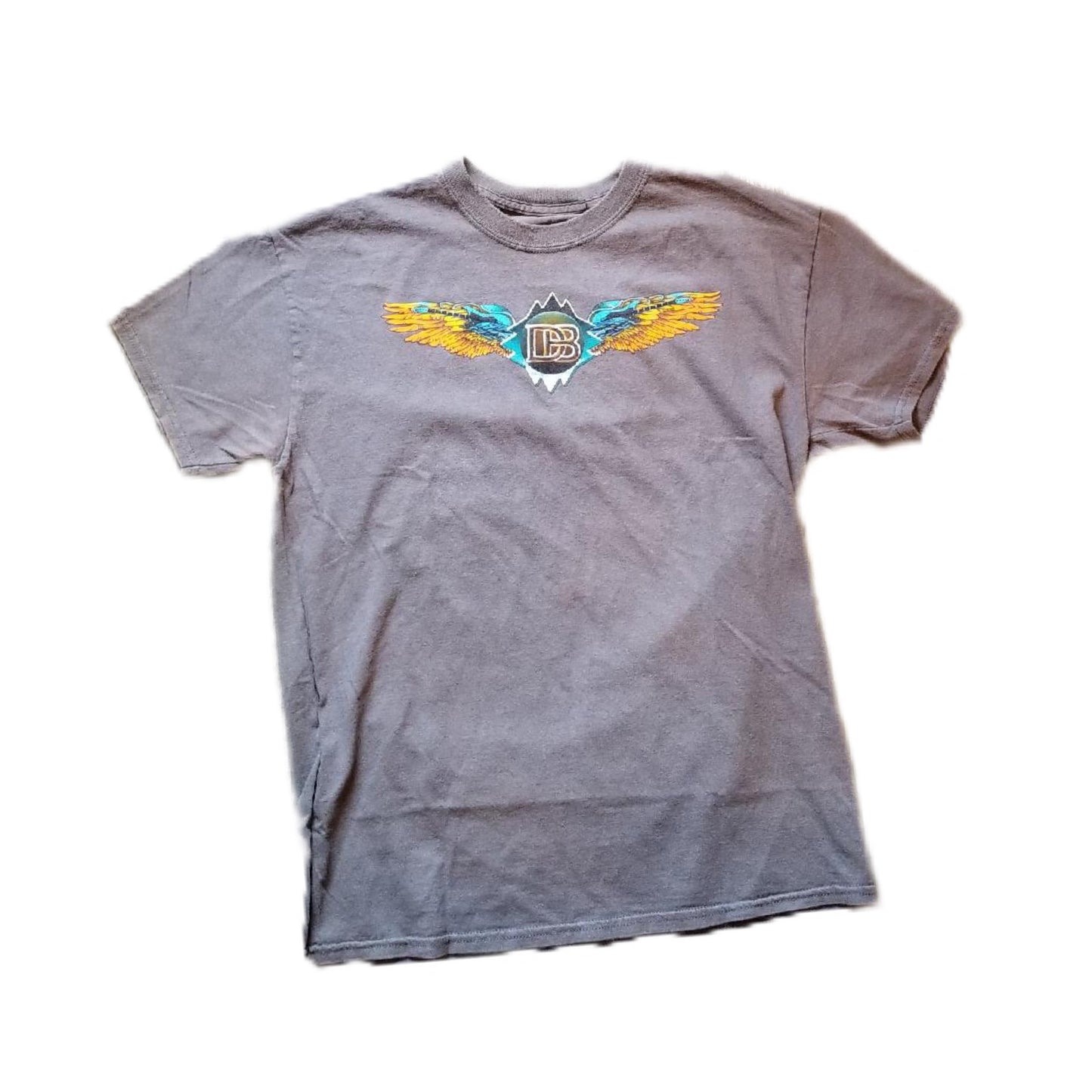 Doobie Brothers Tour Vintage Tee