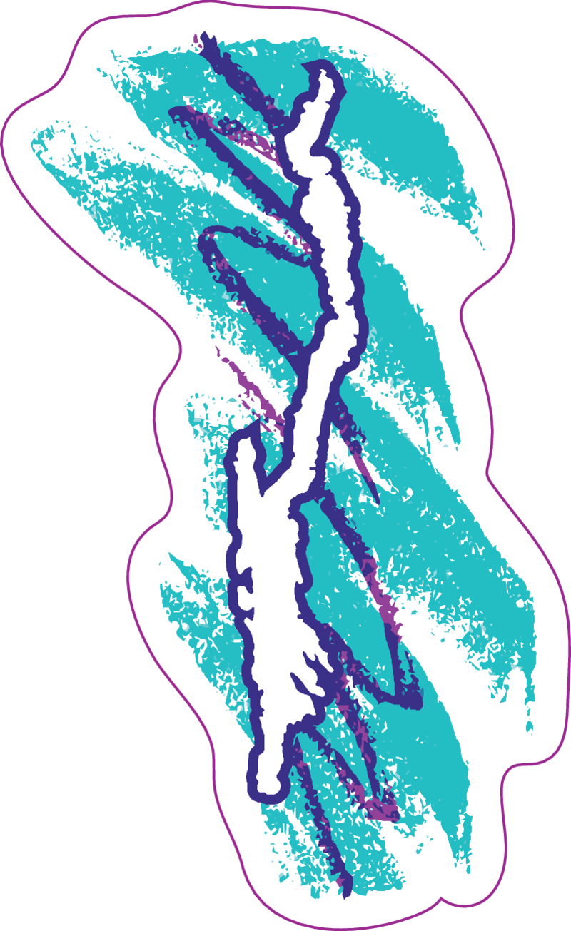 Water Cup Sticker