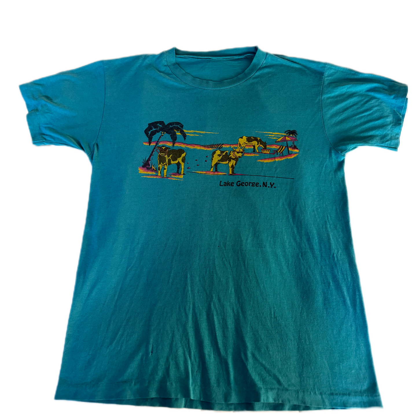 Beach Cows of Lake George NY vintage tee