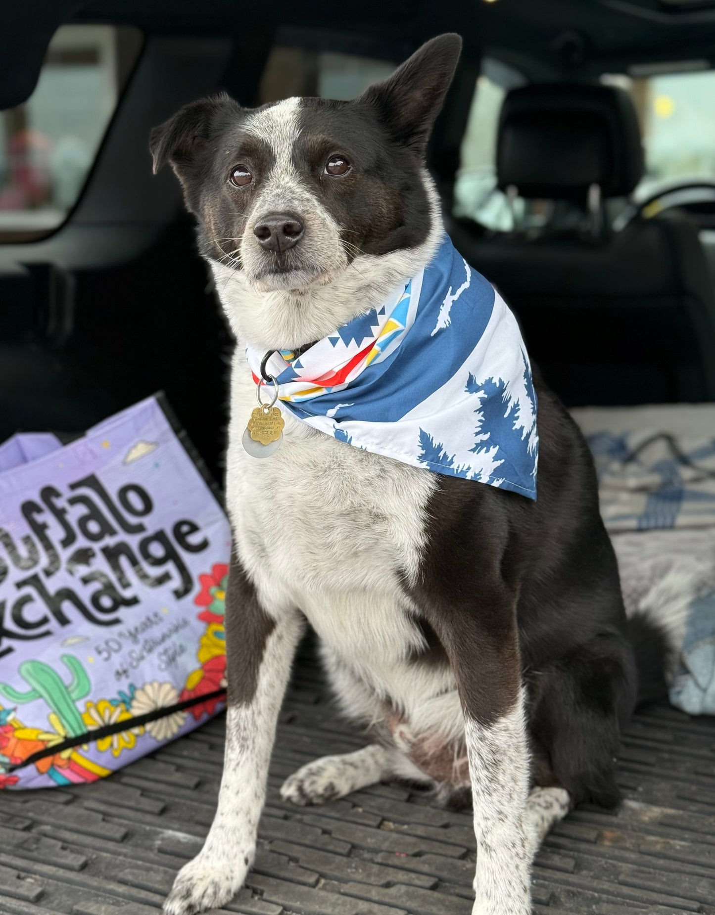 Boon's Bandana
