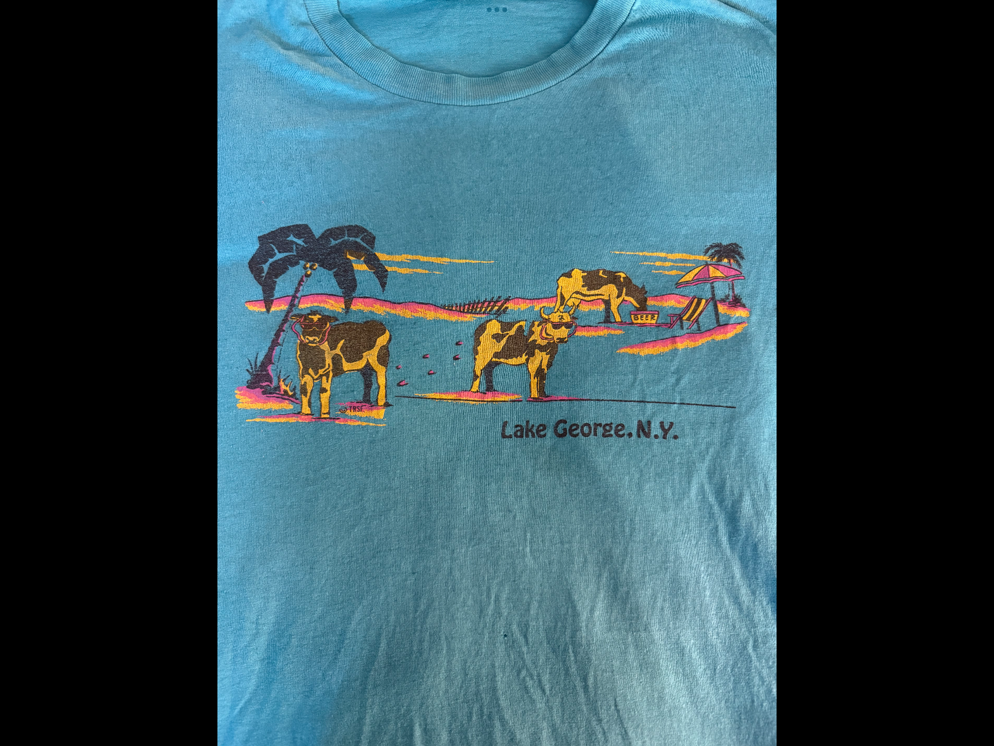 Beach Cows of Lake George NY vintage tee
