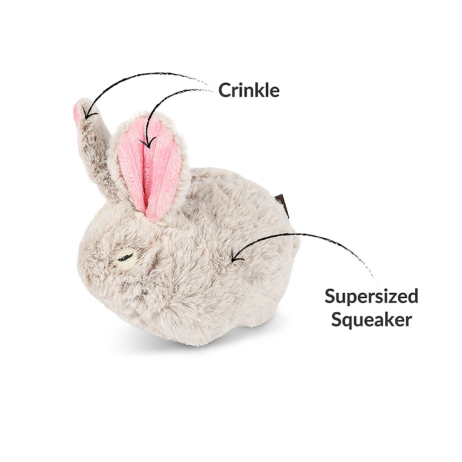 Baxter the Bunny Dog Toy