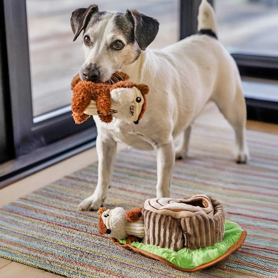 Chippy & Cheeks Chipmunks Dog Toy