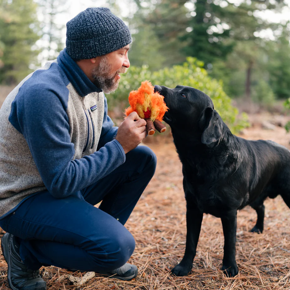Cozy Campfire Dog Toy