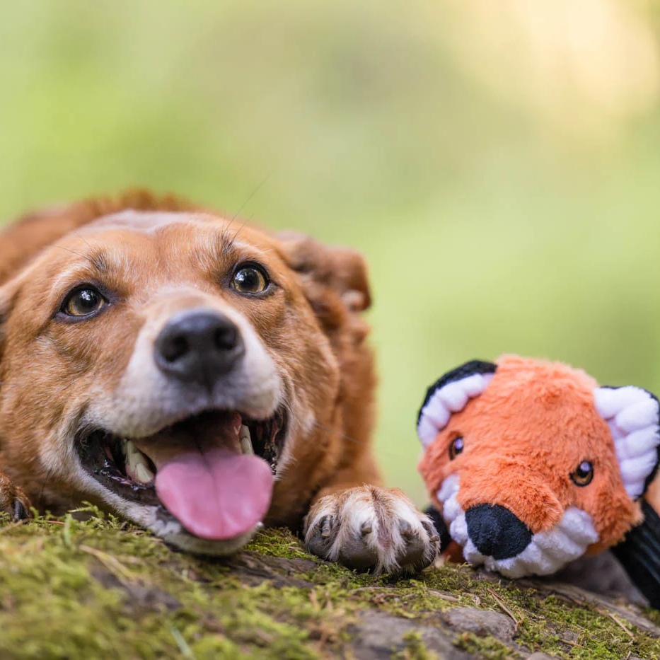 What the Fox Say Dog Toy