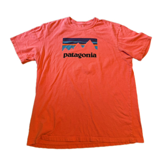 Patagonia Vintage Tee