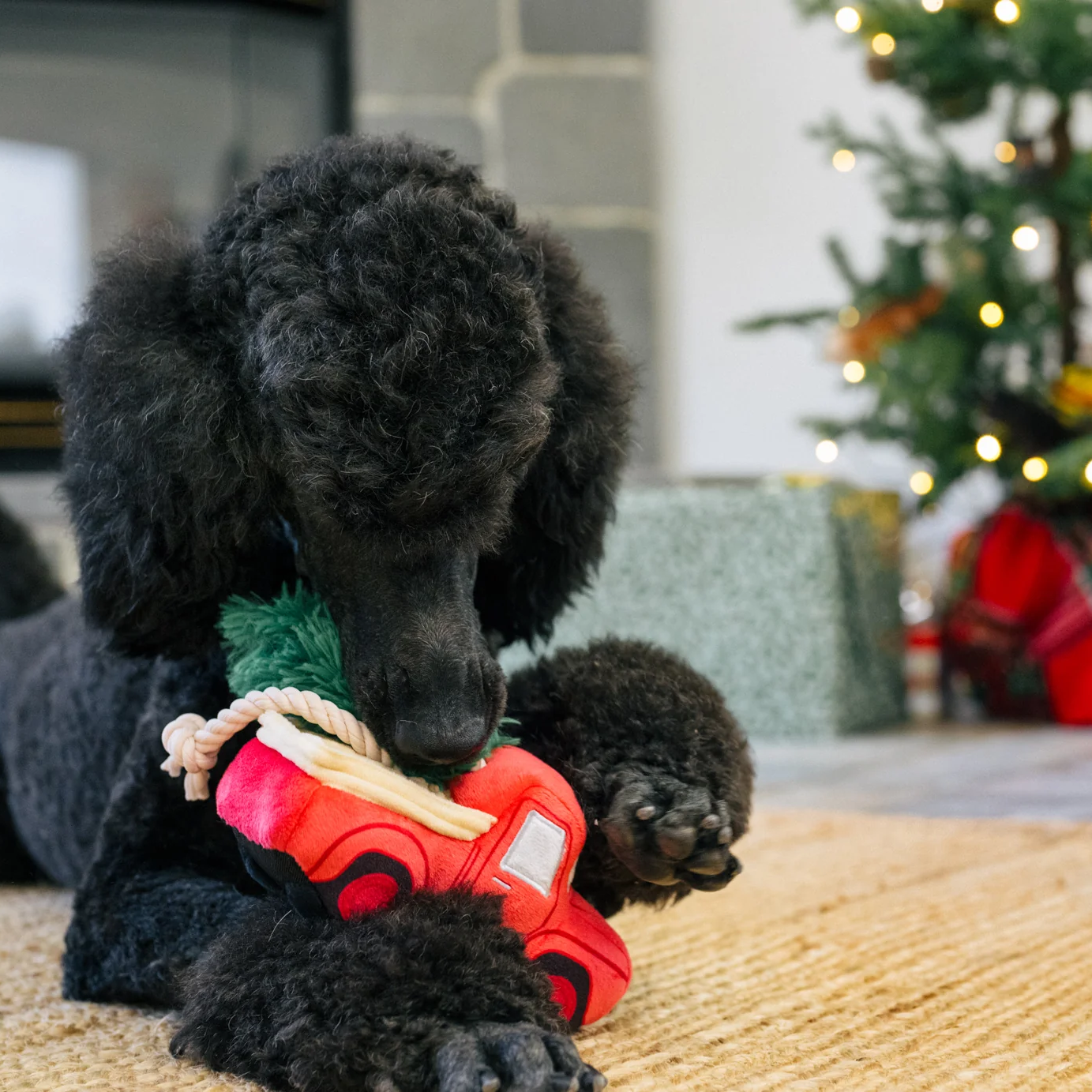 Holiday Hauler Dog Toy