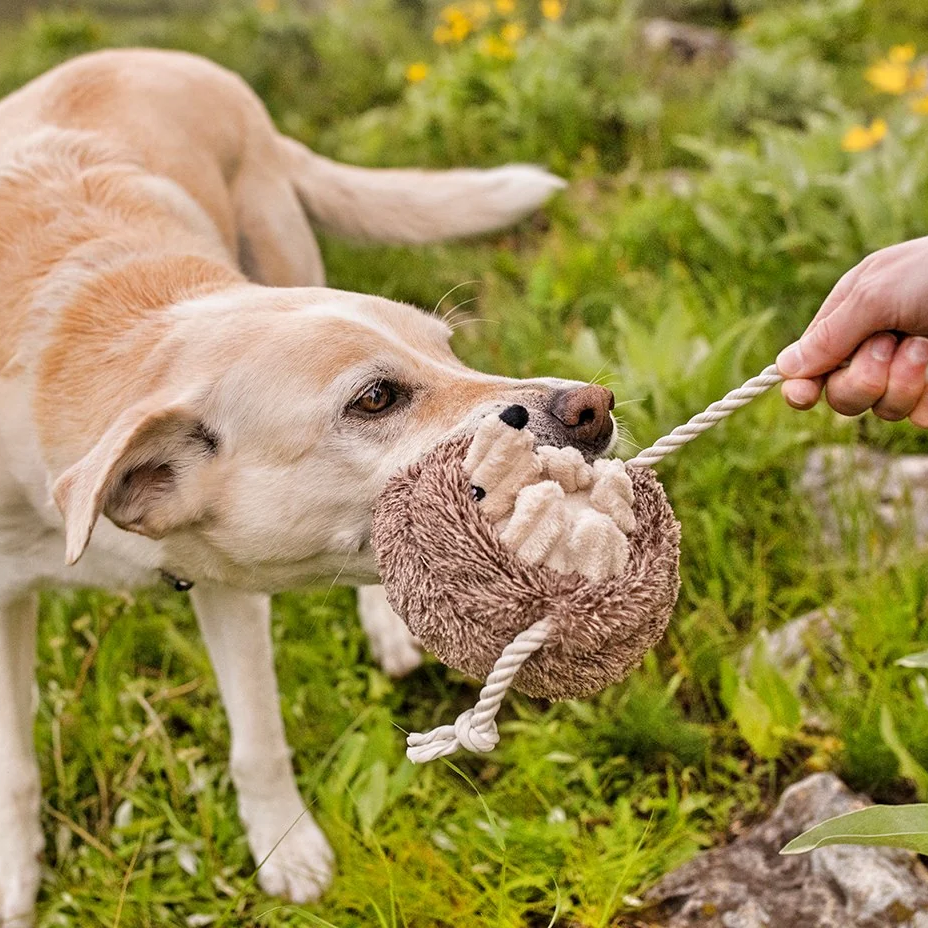 Hamilton the Hedgehog Dog Toy