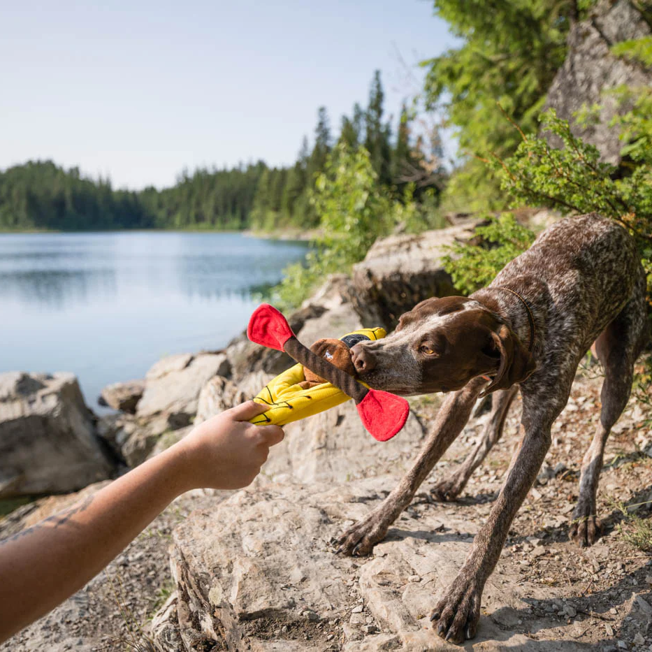 K9 Kayak Dog Toy