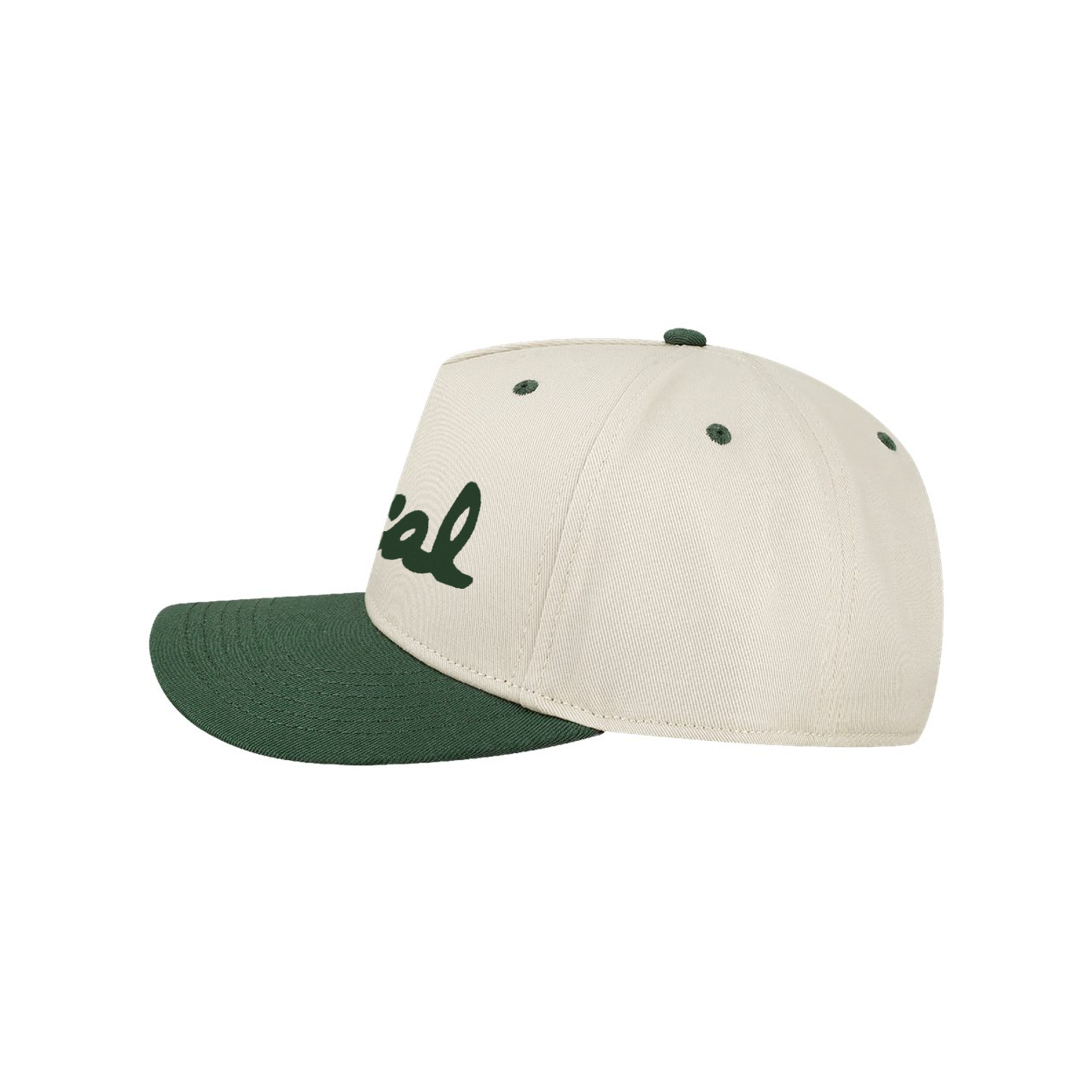 The Original Local Snapback