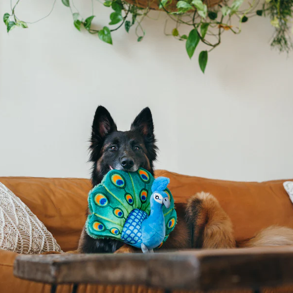 Pfau Dog Toy