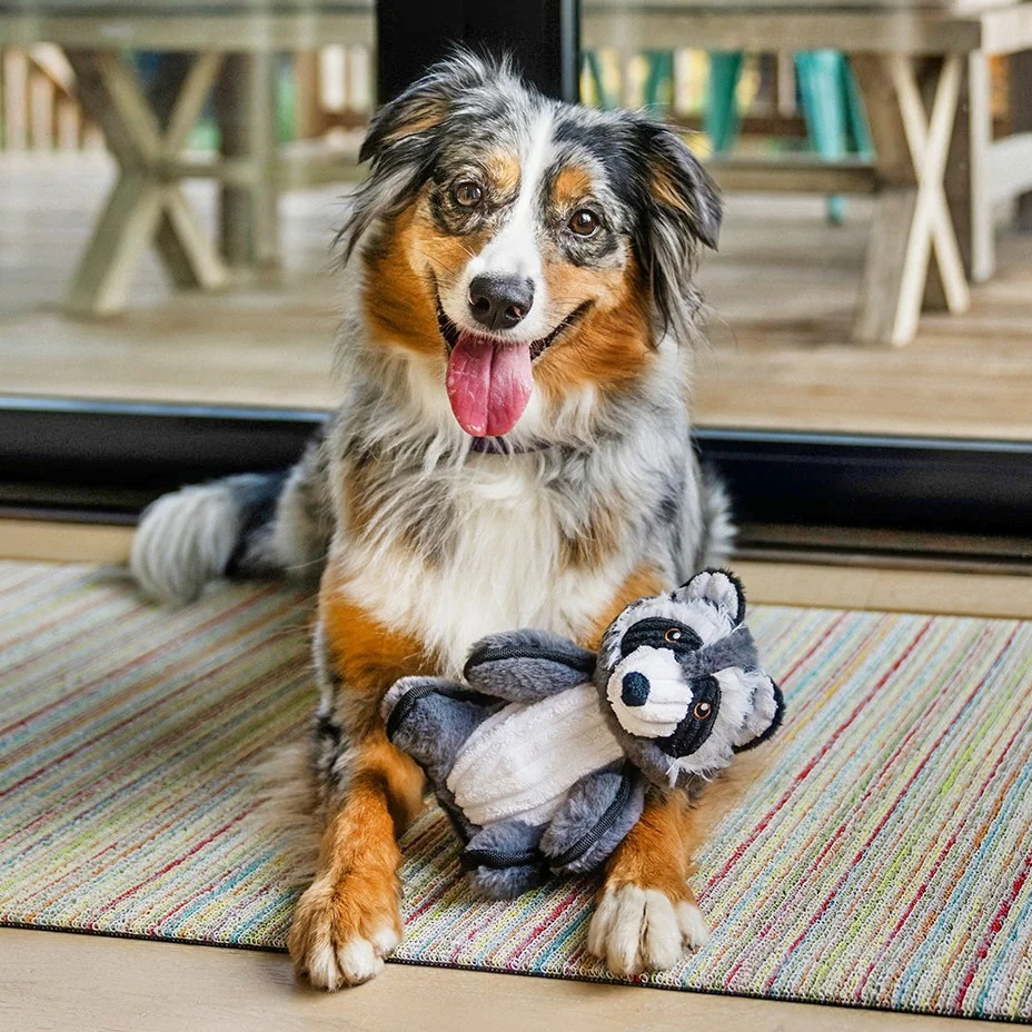 Robby the Racoon Dog Toy