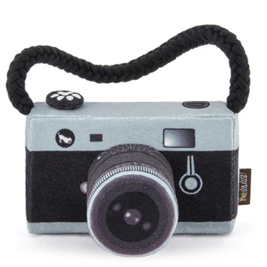 Camera Dog Toy