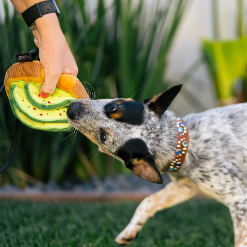 Avo-doggo Toast Dog Toy