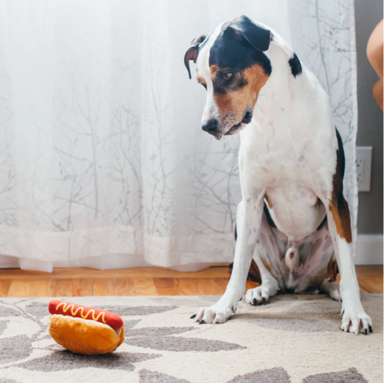 American Classic Hot-Dog Dog Toy