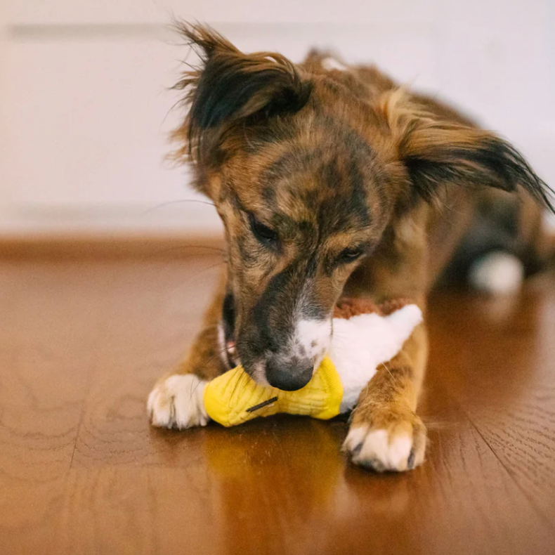 Swirls n Slobbers Soft Serve Dog Toy