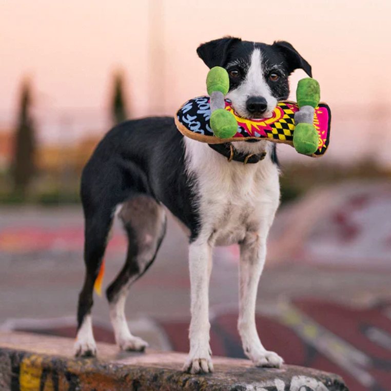 90s Classic Skateboard Dog Toy
