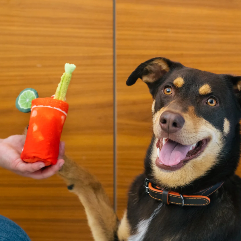Buddy Mary Dog Toy