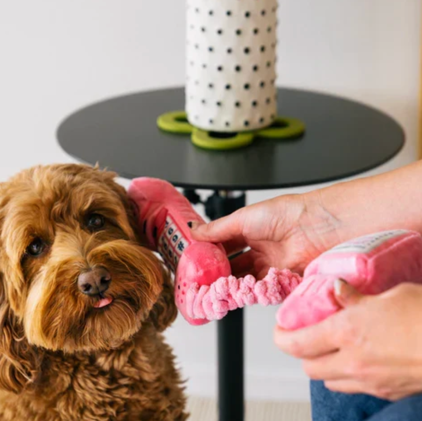 Paw Talk Dog Toy