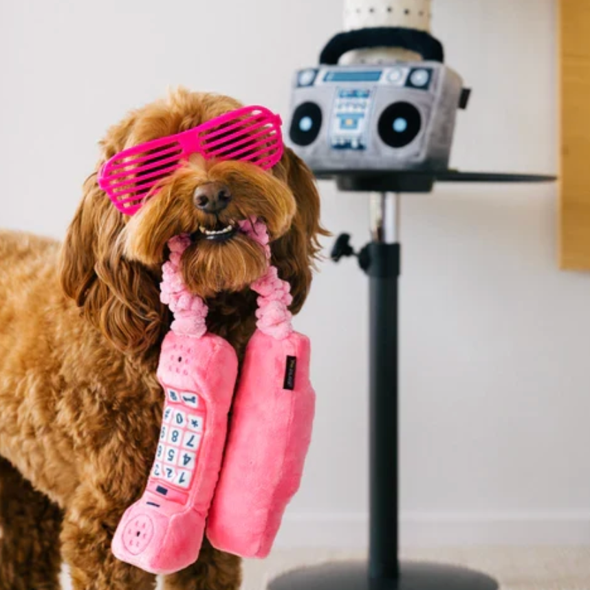Paw Talk Dog Toy