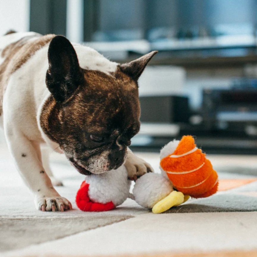 Spot’s Sushi Dog Toy