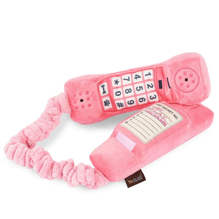 Paw Talk Dog Toy