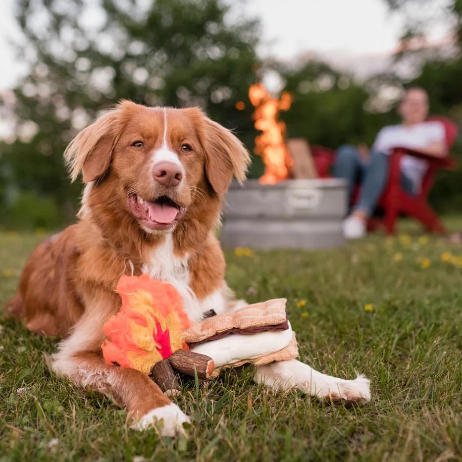 Gimme' Smore Dog Toy