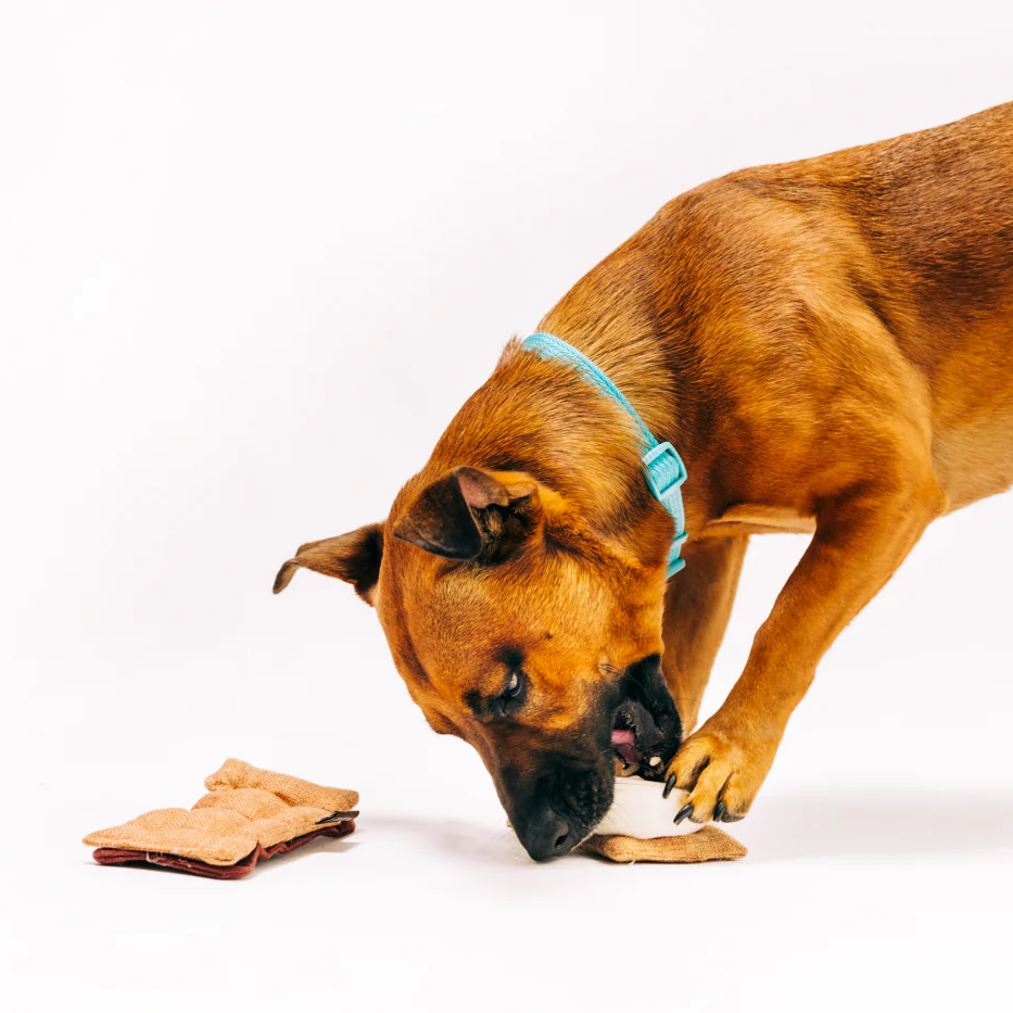 Gimme' Smore Dog Toy