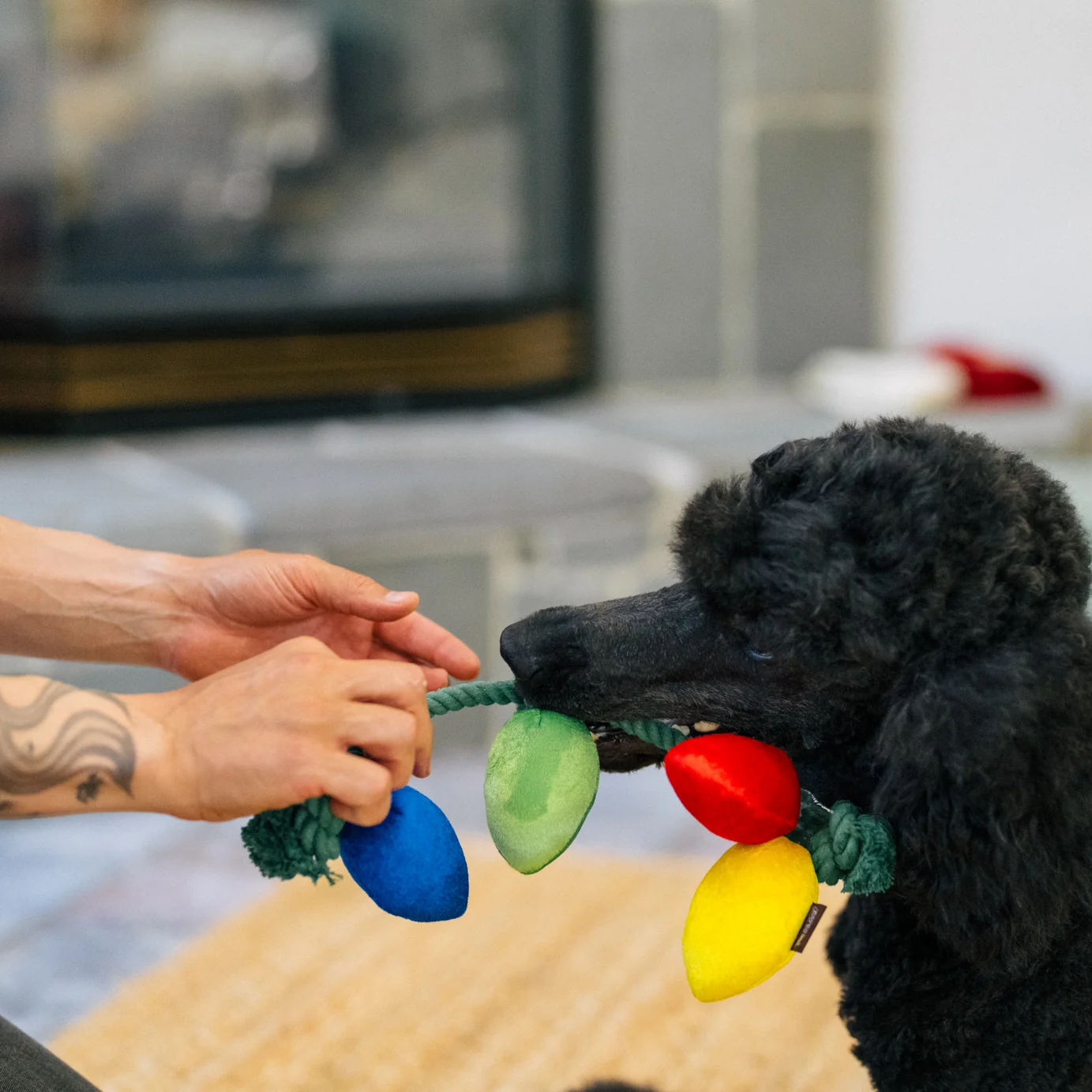 Twinkly Tugger Dog Toy